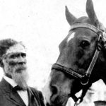 Remembering William Key The African American Veterinarian Who Made Wealth From Exhibiting A Horse
