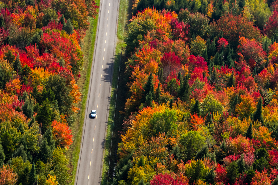 Road Trips in Pennsylvania